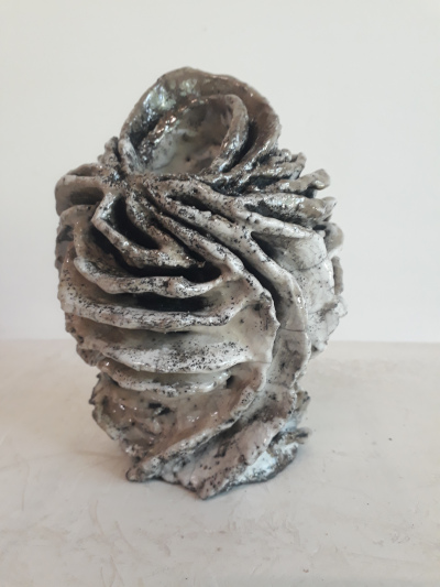 coquillage improbable